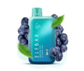 ELF BAR RAYA D1 – Blueberry Mint - Vape Shop Chandigarh
