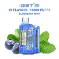IGET FLARE B10000 – Blueberry Mint - Vape Shop Chandigarh